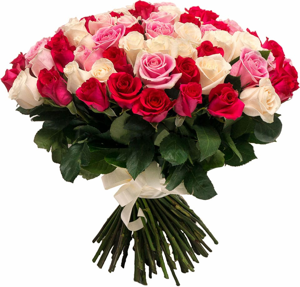 Розы Эквадор микс № 6 Розы Эквадор микс № 6