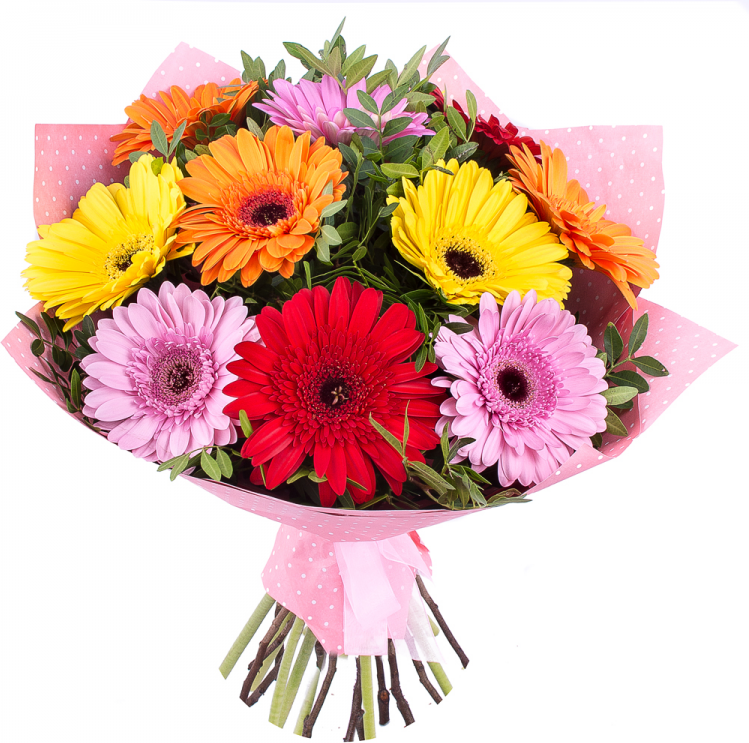 Букет из разноцветных гербер Букет «Только твой»